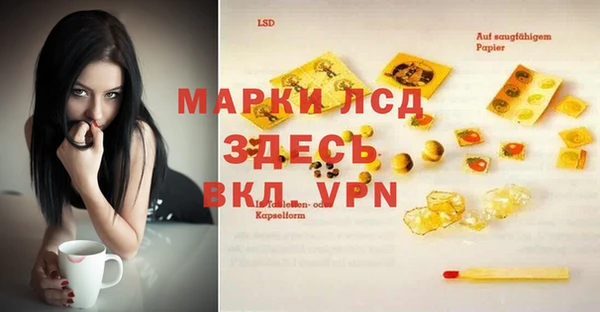 сатива Краснотурьинск
