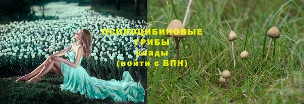 сатива Краснотурьинск